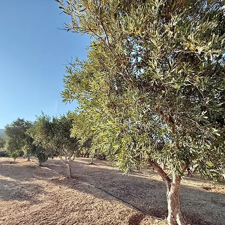 Yaleena Residences Frühstückspension