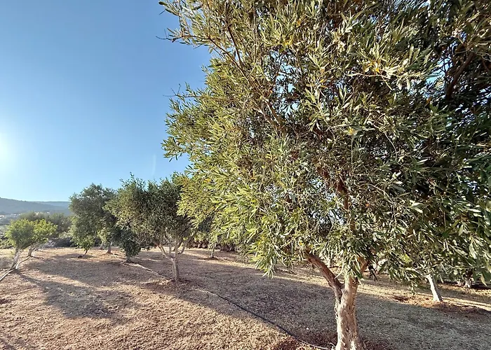 Yaleena Residences Bed & Breakfast